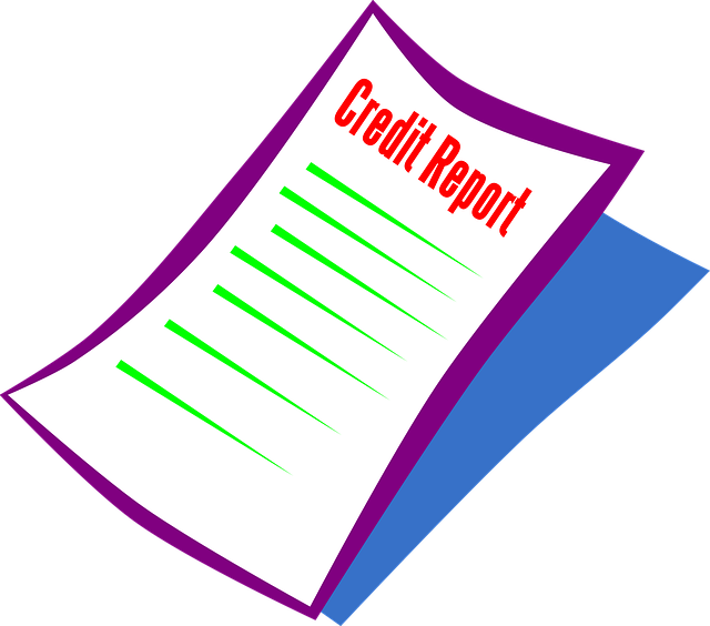 Credit Check and Background Check a Tenant.